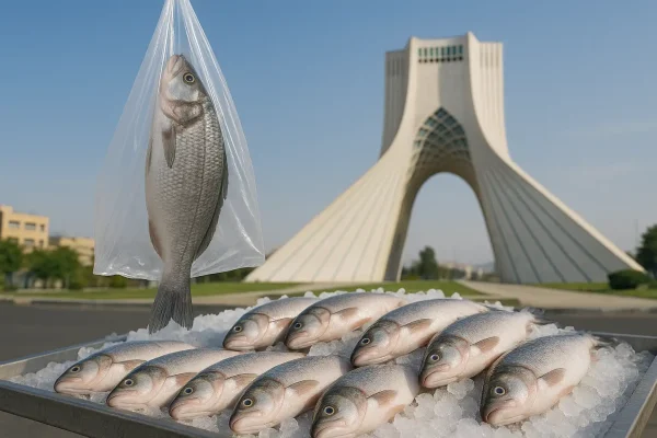 خرید ماهی در تهران
