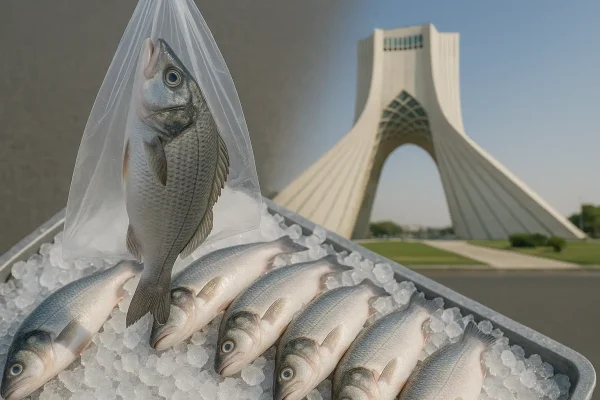 ماهی تازه در تهران
