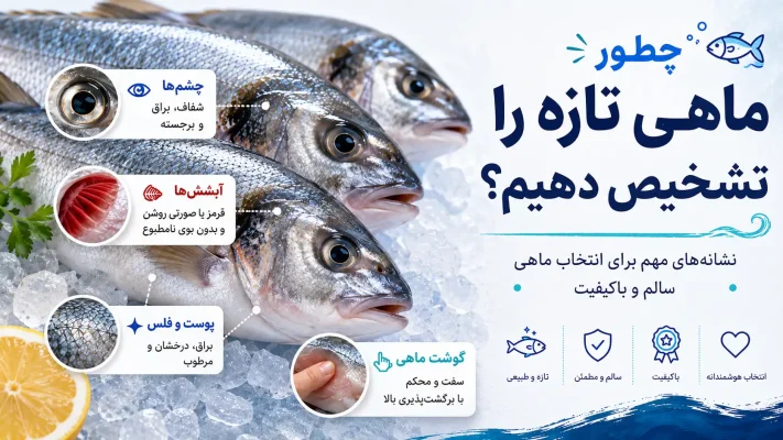 راه تشخیص ماهی تازه