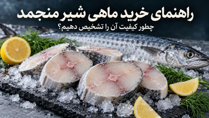خرید ماهی شیر منجمد